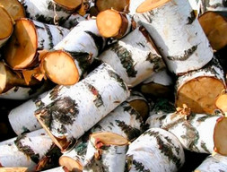 Дрова березовые не колотые