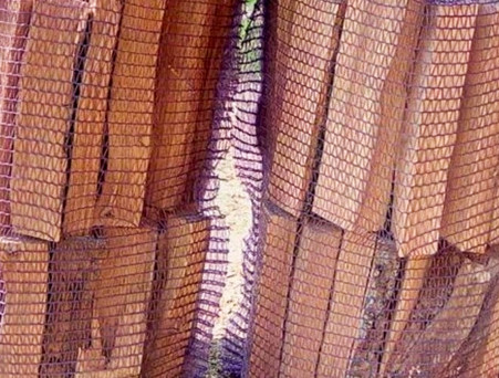 drova-yasen-v-setke